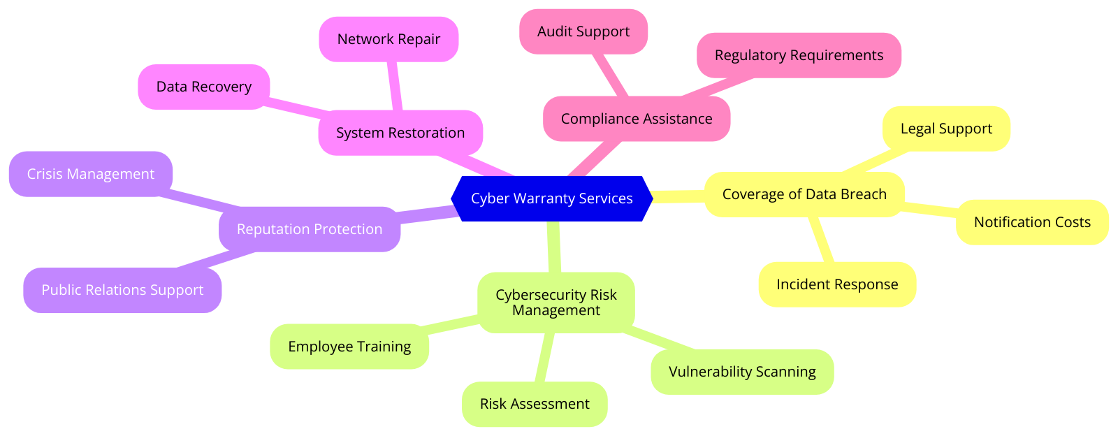 Cyber warranty services